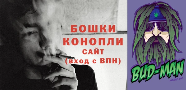 прущие грибы Вязники